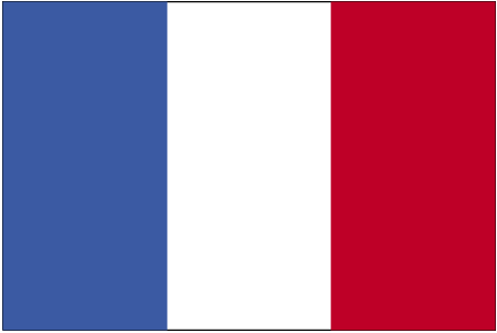 large_flag_of_french_guiana.gif